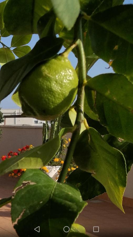 Appartamento IsolaAzzurra Monopoli Esterno foto